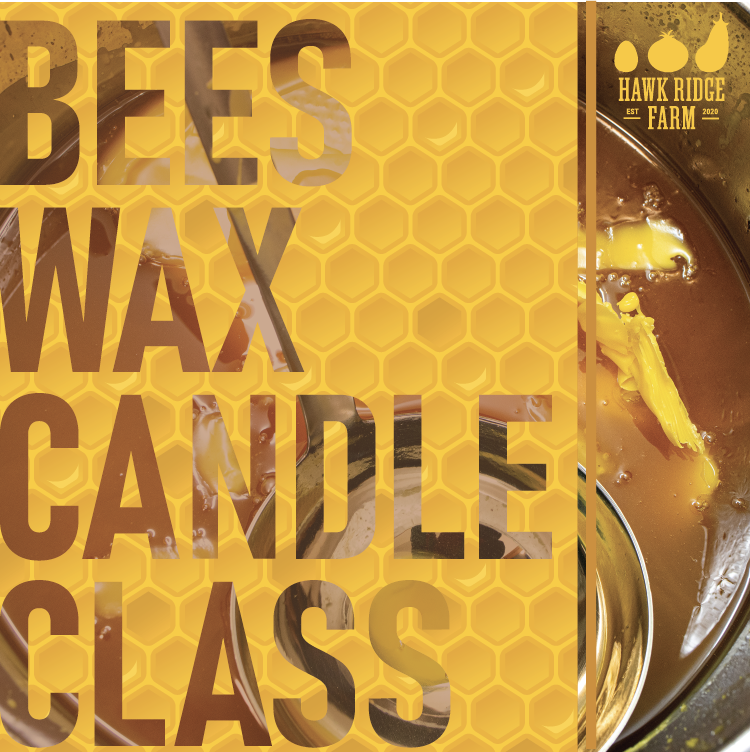Beeswax Candle Making Class at the Farm!