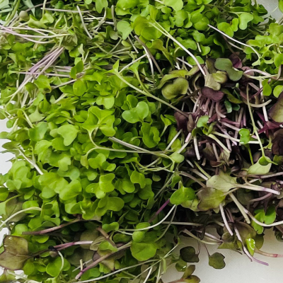 microgreens