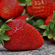 strawberries